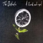 DISTRICTSTHE - A FLOURISH AND A SPOIL