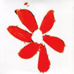 FLOWERS - JOANNA