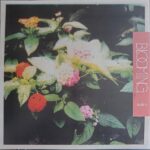AMULETS - BLOOMING Vinyl Record