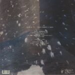 CREMATION LILY - DREAMS DRENCHED IN STATIC Vinyl Record