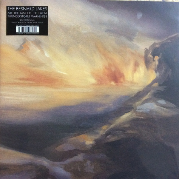 FTH382LPA.jpg THE BESNARD LAKES - THE BESNARD LAKES ARE THE LAST OF THE GREAT TH - Image 1