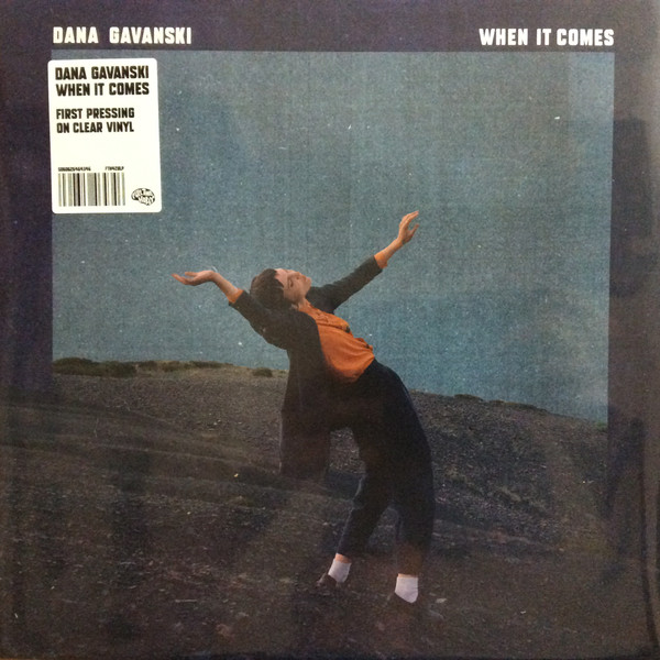FTH428LP.jpg DANA GAVANSKI - WHEN IT COMES - Image 1