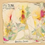 AYLA BROOK & THE SOUND MEN - Desolation Sounds Vinyl Record
