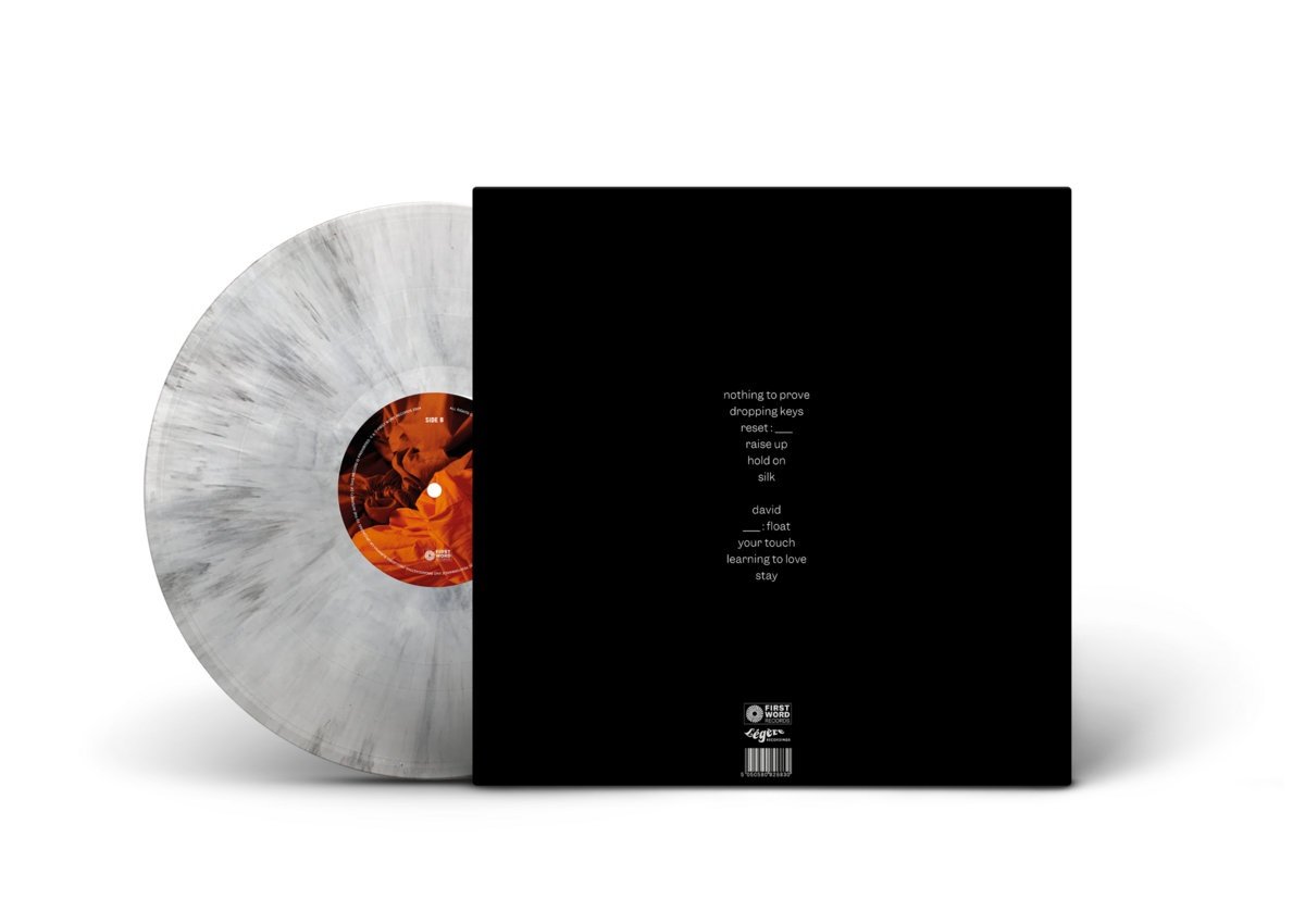 FW304.jpg Allysha Joy - The Making of Silk Vinyl Record - Image 1