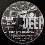 Ricky Montanari & Discoplex - Deep Into House Vol.3