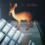 BOA MORTE - THE TOTAL SPACE