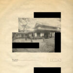 SHIGETO - LINEAGE
