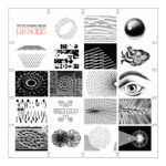 STEVE HAUSCHILDT - DISSOLVI