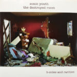 SONIC YOUTH - DESTROYED ROOM;B-SIDES AND RAR