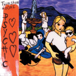 THURSTON MOORE - PSYCHIC HEARTS