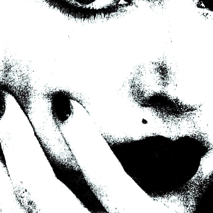 GOOFIN09LP.jpg CICCONE YOUTH - THE WHITEY ALBUM - Image 1