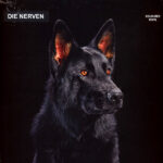 DIE NERVEN - DIE NERVEN (ORANGE)