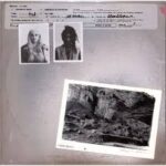 700 BLISS - NOTHING TO DECLARE Vinyl Record