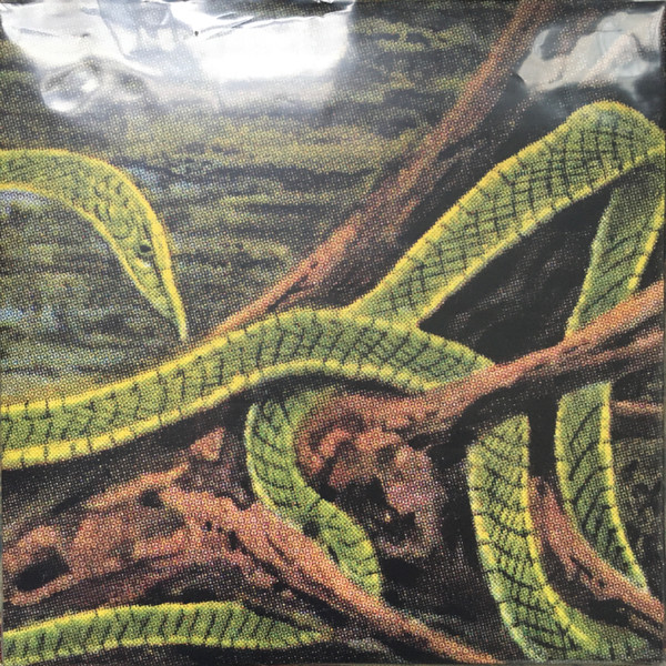 HOS803.jpg RAINFOREST SPIRITUAL ENSLAVEMENT - Green Graves (Galaxy Green Vinyl) - Image 1