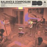 BALANCE AND COMPOSURE - THE THINGS WE THINK WERE MISSING Vinyl Record