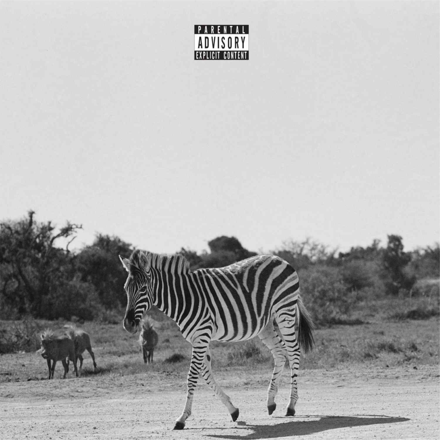 HSRULP1.jpg LOUIS VI - Earthling Vinyl Record - Image 1