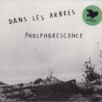 DANS LES ARBRES - PHOSPHORESENCE