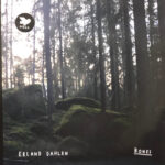 DAHLEN,ERLAND - BONES
