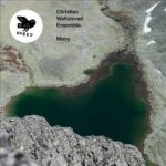CHRISTIAN??WALLUMR??D??ENSEMBLE - MANY Vinyl Record