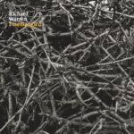 RICHARD WARREN - DISENTANGLED