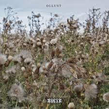 HUMM11LP.jpg BROADS & MILLY HIRST - Ollust Vinyl Record - Image 1