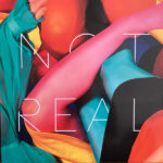 STEALING SHEEP - STEALING SHEEP-NOT REAL