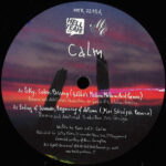 Calm - By Your Side - Remixes Part 3