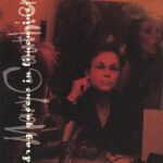 GAUTHIER MARY - DRAG QUEENS IN LIMOUSINES