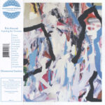 ROB MAZUREK / EXPLODING STAR ORCHESTRA - Dimensional Stardust