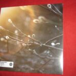 ARIES PROJECT THE - ENGLISH GHOSTS Vinyl Record