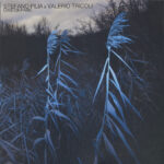 STEFANO PILIA & VALERIO TRICOLI - CANTOR PARK