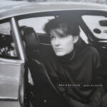 DAVID SYLVIAN - GONE TO EARTH