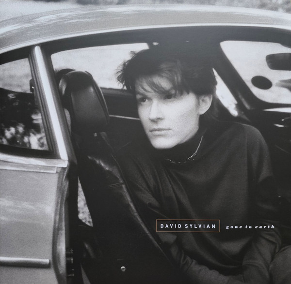 INTGDS00038LP.jpg DAVID SYLVIAN - GONE TO EARTH - Image 1