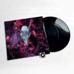 COLIN STETSON - THE LOVE IT TOOK TO LEAVE YOU Vinyl Record