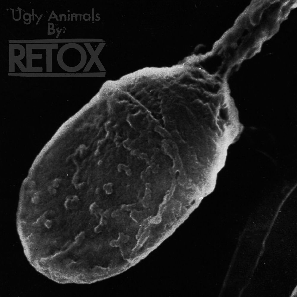 IPC130LP.jpg RETOX - UGLY ANIMALS - Image 1
