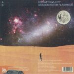 AIMING FOR ENRIKE - STEAM YOGA CITY Vinyl Record