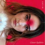 ANN LIU CANNON - CLEVER RABBITS Vinyl Record