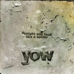DAVID YOW - TONIGHT YOU LOOK LIKE A SPIDER