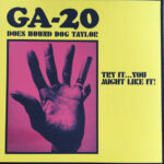 GA-20 - DOES HOUND DOG TAYLOR:TRY IT..YOU MIGHT LIKE I
