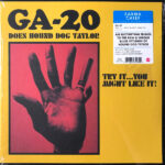 GA-20 - DOES HOUND DOG TAYLOR:TRY IT..YOU MIGHT LIKE I