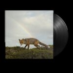 BUCK MEEK - BUCK MEEK Vinyl Record