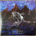 DAVID GRAY - SKELLIG