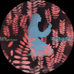 Carlo - The Night Forest