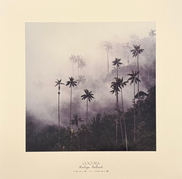 LE003LP.jpg BETH BOMBARA - EVERGREEN - Image 1