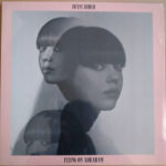 Diane Birch - Flying On Abraham