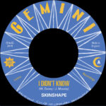 SKINSHAPE - I DIDN'T KNOW (EXTENDED MIX) / I DIDN'T KNOW