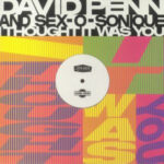 David Penn & Sex-O-Sonique - I Thought It Was You