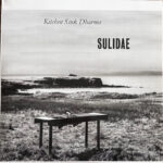 SULIDAE - KITCHEN SINK DHARMA