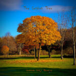 GOLDEN TREE THE - SCOTTISH SONGS OBSERVED