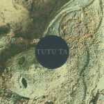 Tutu Ta - Violence or Violets